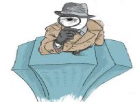 巴楚县寻人公司阐述拐卖儿童的可疑行为